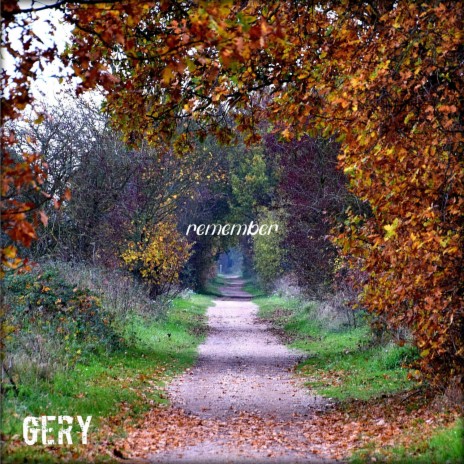 Remember cover art