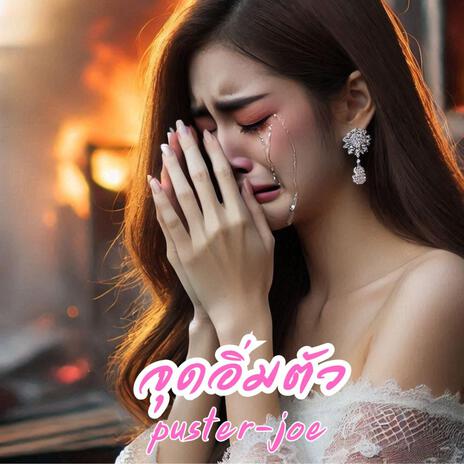 จุดอิ่มตัว cover art