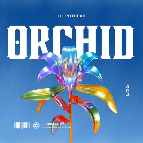 Orchid