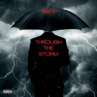 Through the storm cover art