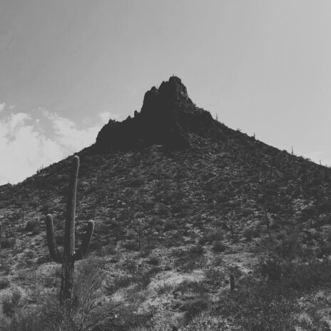 Tumble Weed, Roll On cover art