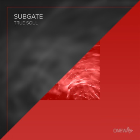 True Soul (Original Mix) cover art
