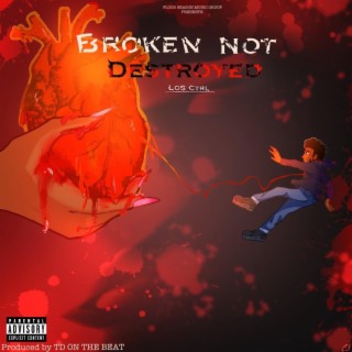 Broken Not Destroyed
