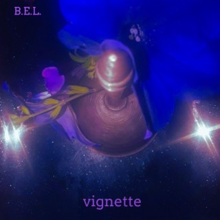 Vignette