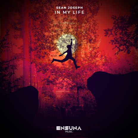In My Life (Original Mix) cover art