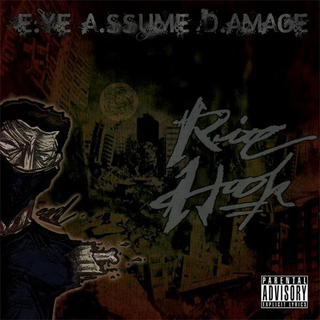 E . ye A.s sume D . amage