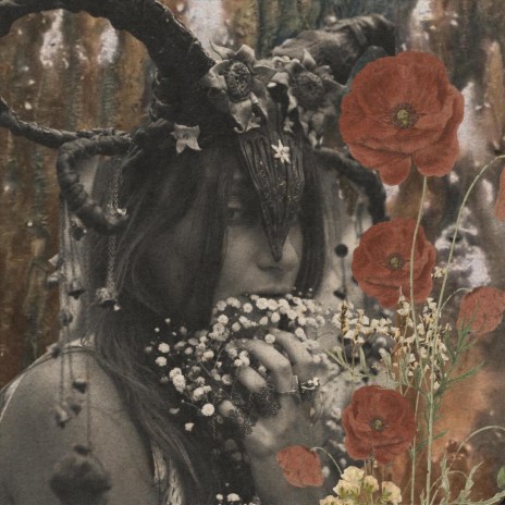 The Ghost in Bridal Lace cover art