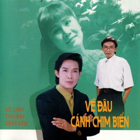 Về đâu cánh chim biển cover art