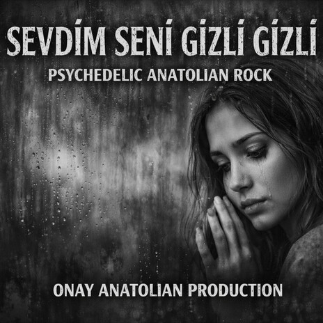 Sevdim Seni Gizli Gizli cover art