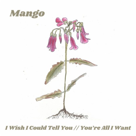 I Wish I Could Tell You cover art