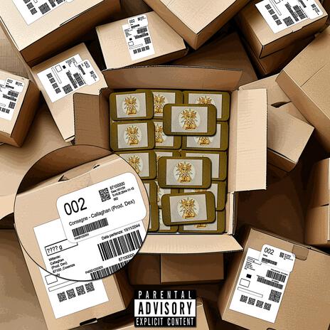 CONSEGNE cover art