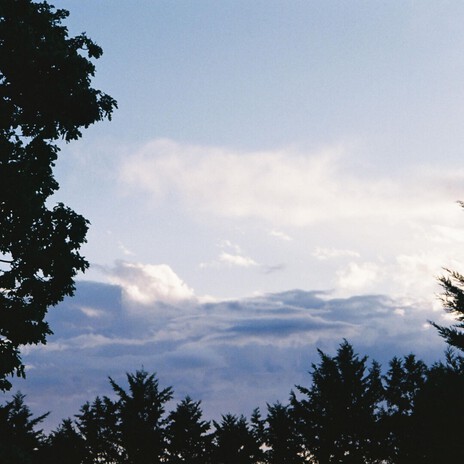 Roam Free cover art