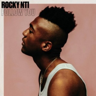 Follow You (The FaNaTiX Remix) cover art