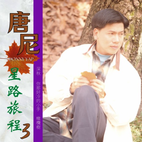 白雲深處有人家 ft. 胡慧萍 cover art