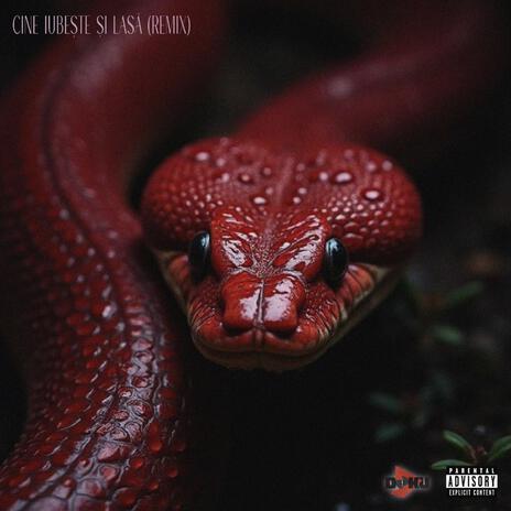 Cine Iubeste si Lasa (Hip-Hop Remix) ft. Doku7 & Maria cover art
