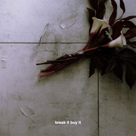 Break It, Buy It cover art