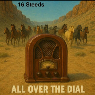 16 Steeds All Over The Dial