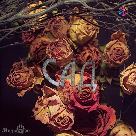 Сад ft. Гиперкуб cover art