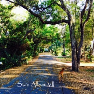 Stan Album VII