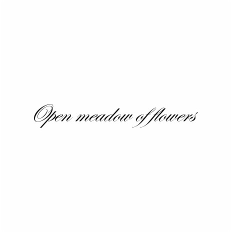 Open Meadow Of Flowers cover art