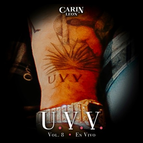 Voy a Estar Bien (En Vivo) cover art