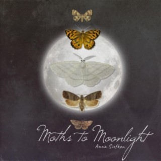 Moths to Moonlight