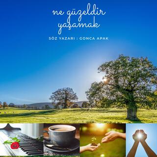 Ne Güzeldir Yaşamak cover art