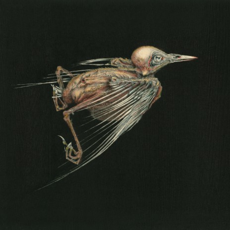 A Sudden Swing ft. Jenny Hval & Susanna & Susanna cover art