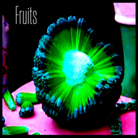 Fruits (Original Mix) cover art