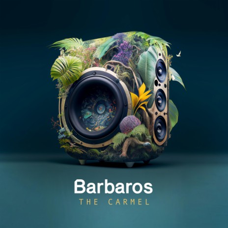 The Carmel (Stereosyn Remix) cover art