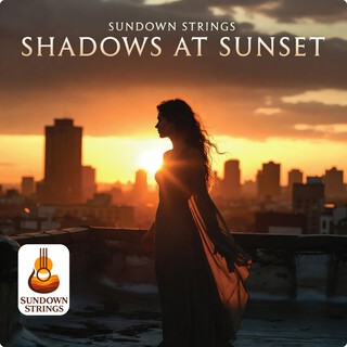 Shadows at Sunset