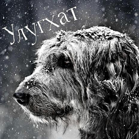 Улугхат ft. Белая Сова & Гиперкуб cover art