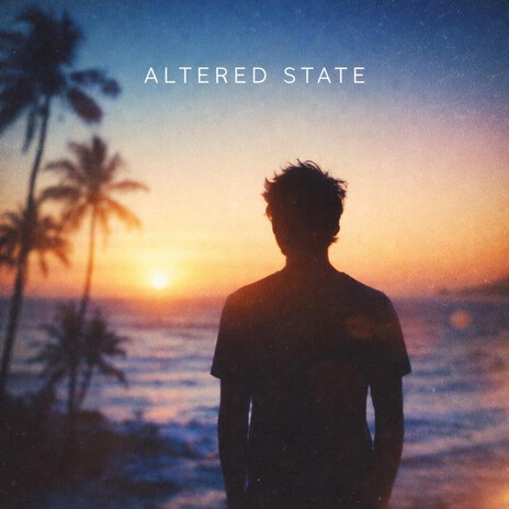 The Perfect Night cover art