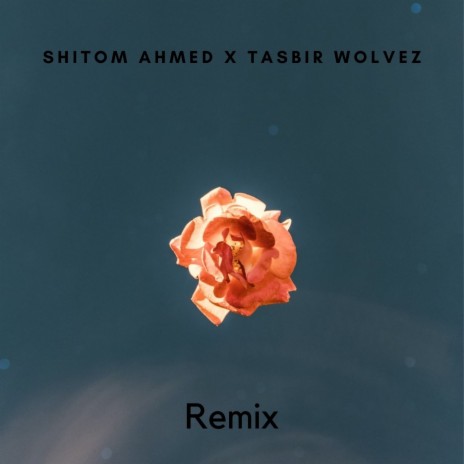 Likhi Na Ar Toke Niye Kobita (Remix) ft. Tasbir Wolvez cover art