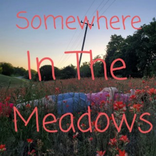 Somewhere in the Meadows