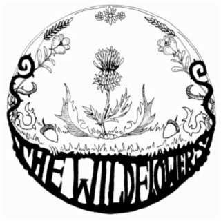 The Wildflowers