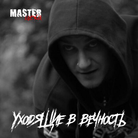 Остановись и посмотри cover art
