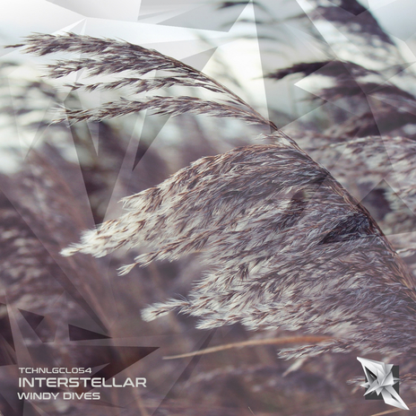 Against The Wind cover art