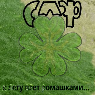К лету веет ромашками...