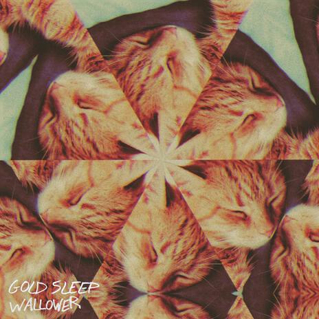 Gold Sleep (Instrumental) cover art