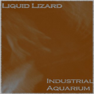 Liquid Lizard