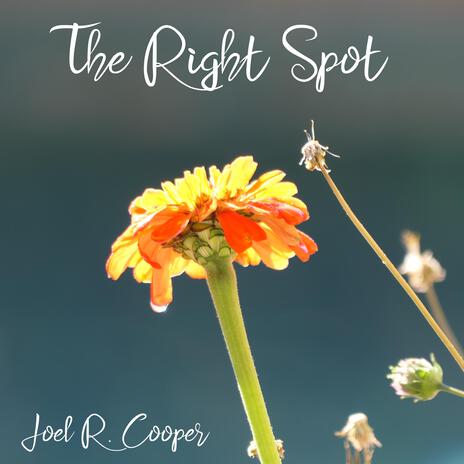 The Right Spot cover art