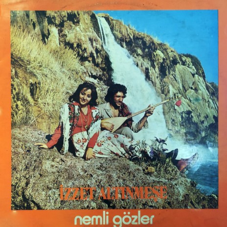 Gönül cover art