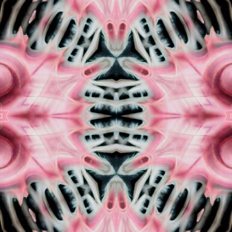 Capitulo 8 cover art
