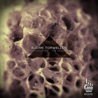 Shapeshifter - The Remixes