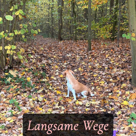 Wie wir sind