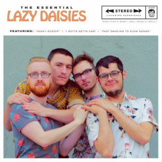 The Essential Lazy Daisies