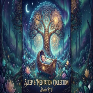 Sleep & Meditation