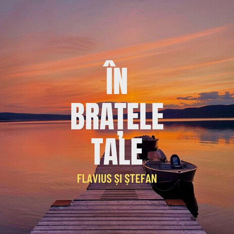 În brațele tale ft. Ștefan Ambrosie cover art