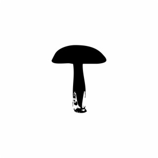 Mycelium